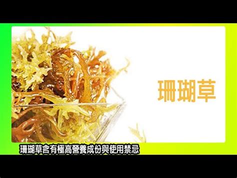 珊瑚草禁忌|珊瑚草禁忌指南：營養價值與安全食用秘訣 